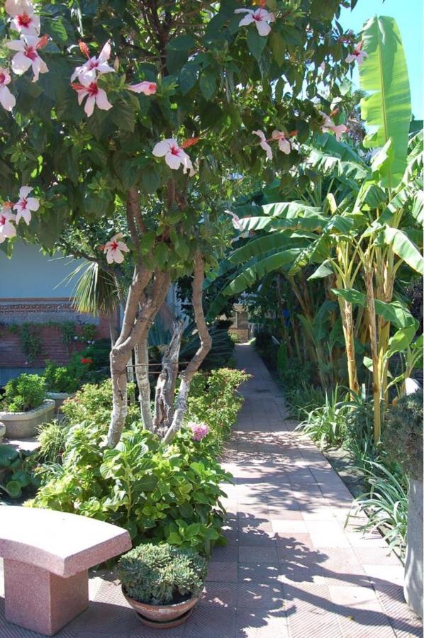 SantʼAlessio Siculo Le Zagare Apartments מראה חיצוני תמונה
